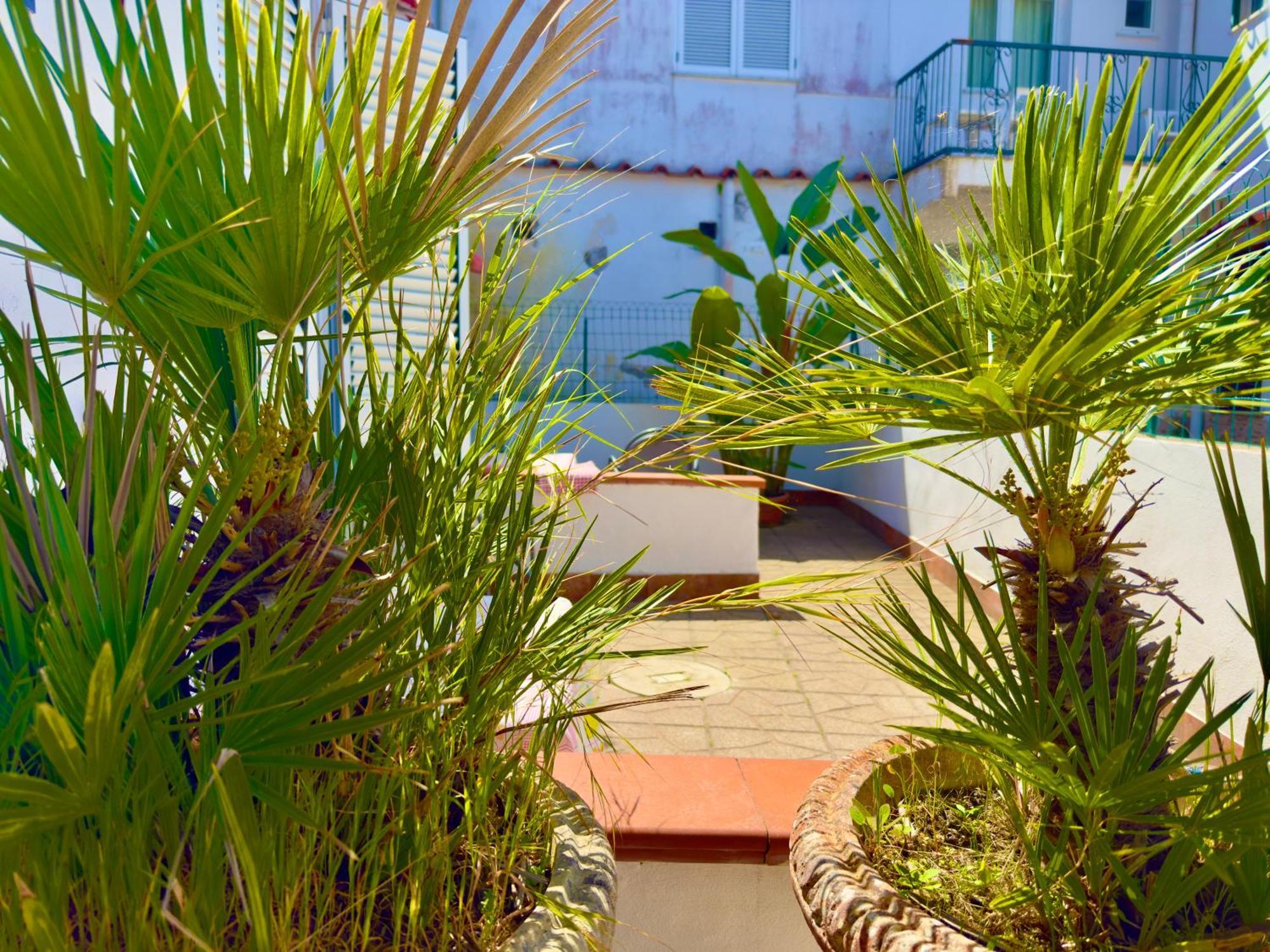 Hotel Villa Fiorentina Casamicciola Terme Esterno foto
